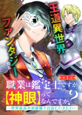 職業は鑑定士ですが【神眼】ってなんですか？　～世界最高の初級職で自由にいきたい～